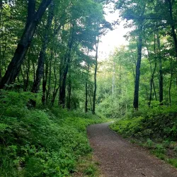 Tysiąclecia Park - Chrzanow