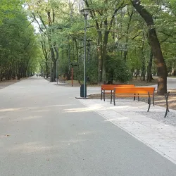 City Park (Park Miejski) - Dabrowa Gornicza