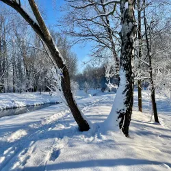 City Park (Park Miejski) - Dabrowa Gornicza