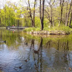 City Park (Park Miejski) - Dabrowa Gornicza