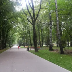 City Park (Park Miejski) - Dabrowa Gornicza