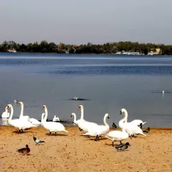 Lake Pogoria - Dabrowa Gornicza