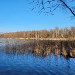 Lake Pogoria - Dabrowa Gornicza