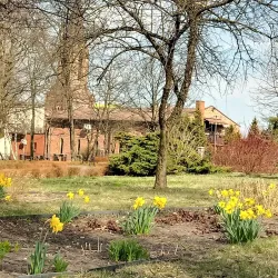 St. Barbara's Church - Dabrowa Gornicza