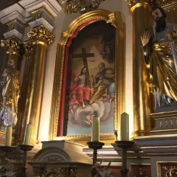 Church of the Assumption of the Blessed Virgin Mary - Debica (Dębica)