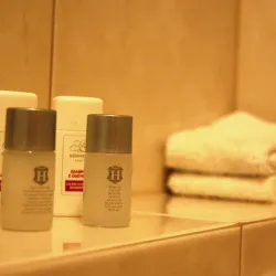 Dębica Castle (Zamek w Dębicy) - Debica (Dębica)