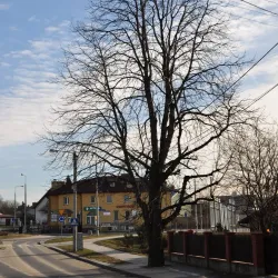 Dębica Railway Station - Debica (Dębica)