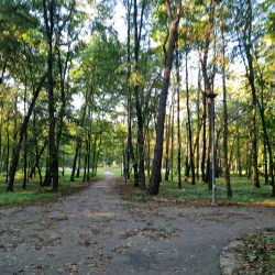 Park Miejski w Dębicy (City Park) - Debica (Dębica)