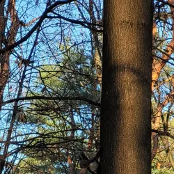 Park Miejski w Dębicy (City Park) - Debica (Dębica)