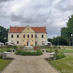 Local History Museum - Dzialoszyn