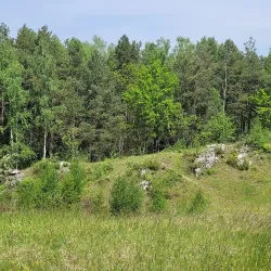 Nearby Nature Reserve - Dzialoszyn