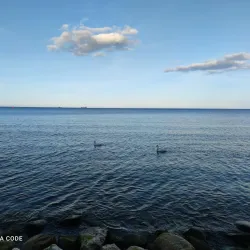 Beach in Gdynia - Gdynia