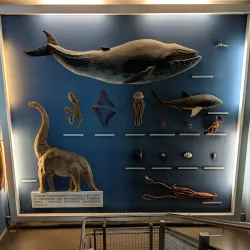 Gdynia Aquarium - Gdynia