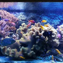 Gdynia Aquarium - Gdynia