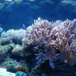 Gdynia Aquarium - Gdynia