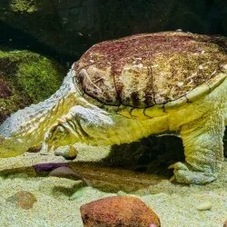 Gdynia Aquarium - Gdynia