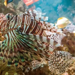 Gdynia Aquarium - Gdynia