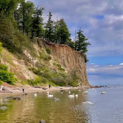 Redłowo Cliff - Gdynia