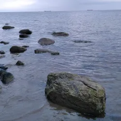 Redłowo Cliff - Gdynia