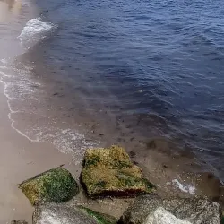 Redłowo Cliff - Gdynia