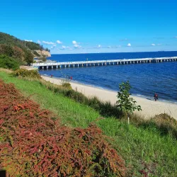 Redłowo Cliff - Gdynia