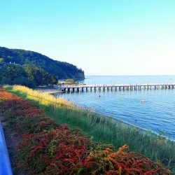 Redłowo Cliff - Gdynia