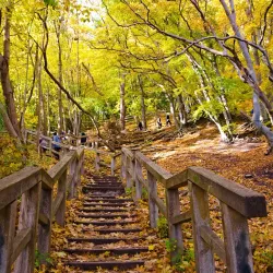 Redłowo Cliff - Gdynia