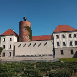 Museum of the Głogów Land - Glogow