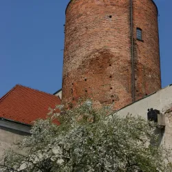 Museum of the Głogów Land - Glogow