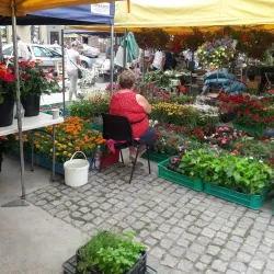 Gorlice Market Square (Rynek) - Gorlice