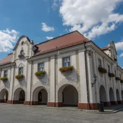 Jarocin Museum (Muzeum Regionalne w Jarocinie) - Jarocin