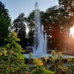 Jasło City Park - Jaslo