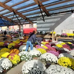 Jasło Market Square (Rynek) - Jaslo