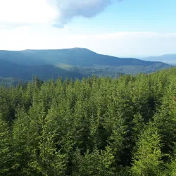 Silesian Beskids Mountains (nearby) - Jastrzebie-zdroj