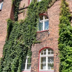 Nikiszowiec - Katowice