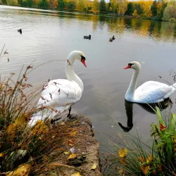 Valley of Three Ponds (Dolina Trzech Stawów) - Katowice