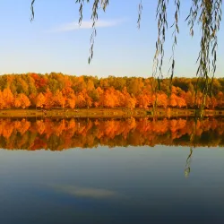 Valley of Three Ponds (Dolina Trzech Stawów) - Katowice