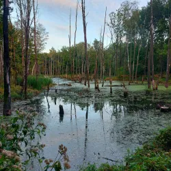 Valley of Three Ponds (Dolina Trzech Stawów) - Katowice