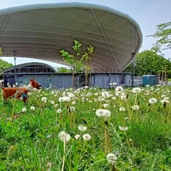 Amphitheater in Koszalin - Koszalin
