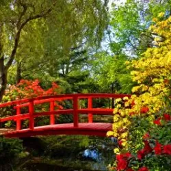 Koszalin Botanical Garden - Koszalin