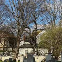 Kazimierz District - Krakow (Cracow)