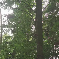 Krosno City Park (Park Miejski) - Krosno