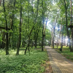 Krosno City Park (Park Miejski) - Krosno