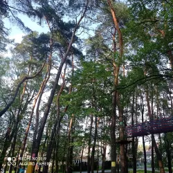 Krosno City Park (Park Miejski) - Krosno