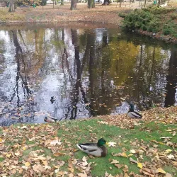 Park Miejski (City Park) - Krotoszyn