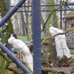 Park Miejski (City Park) - Krotoszyn