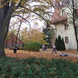 Park Miejski (City Park) - Krotoszyn