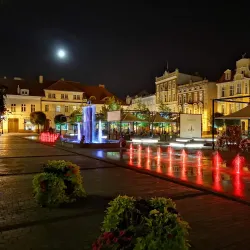 The Old Town Hall - Krotoszyn