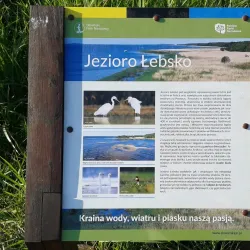 Lake Łebsko (Jezioro Łebsko) - Lebork