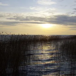 Lake Łebsko (Jezioro Łebsko) - Lebork